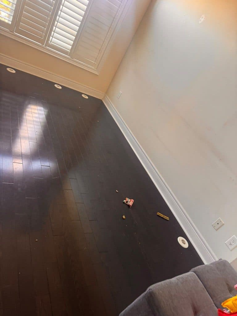 The same room after the couch was hauled away