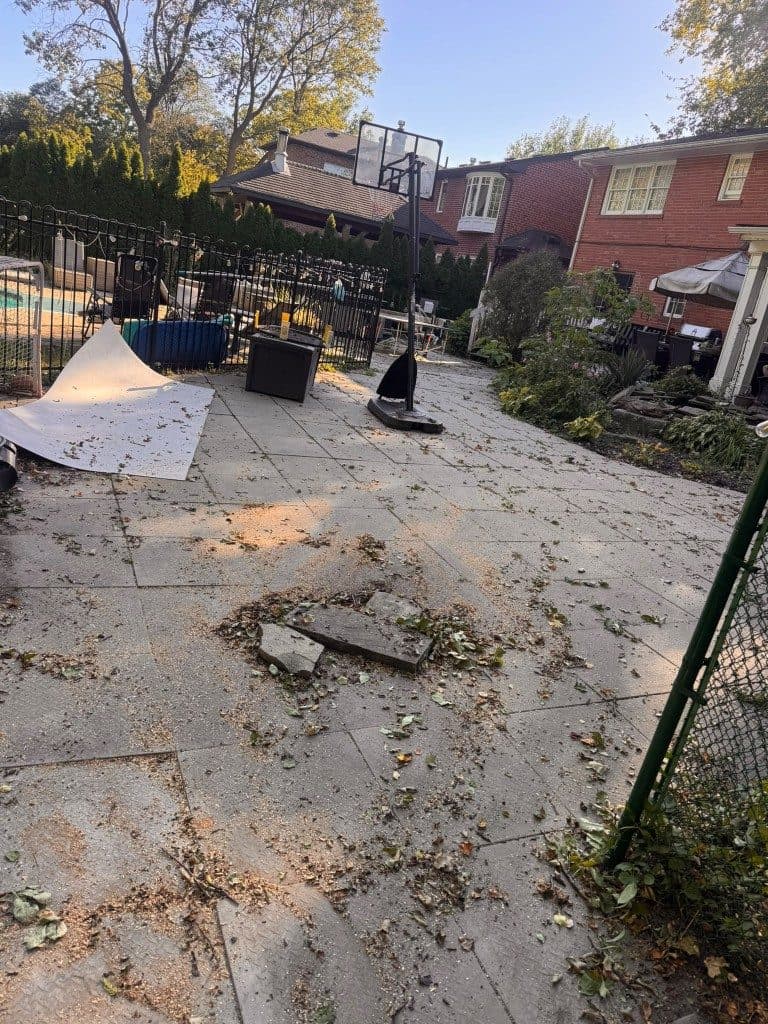 The same patio after the branches were hauled away